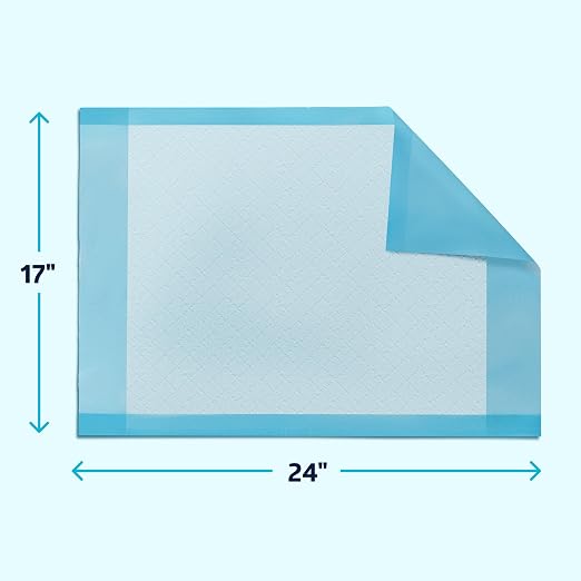 Medline Light Absorbency Underpad, 17" x 24", 300 Count, Disposable Chucks, Bed, Furniture & Surface Protection, For Kids, Adults, Elderly, Puppy Pad, Changing Pad, Incontinence Pee Pad