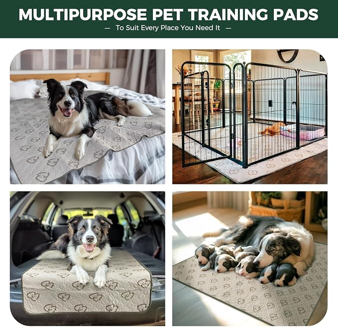 FXW Washable Pee Pads for Dogs, Super Absorbent, 39" Square, 2 Packs | Machine washable, Non-slip backing