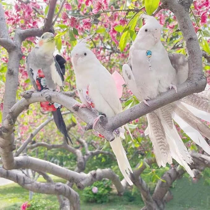 Bird Diaper Parrot Washable Diapers, Parrot Flight Suit, Reusable Nappies for Parakeet Cockatiel Mini Macaw Budgie Conure Lovebird (Beige,L)