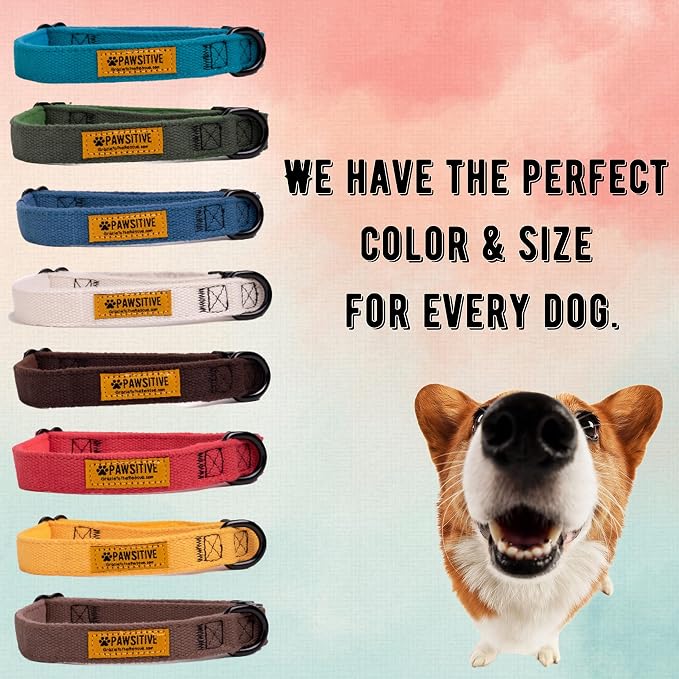 Pawsitive Hemp Dog Collar - Super Soft Hypoallergenic Lining. Great for Small, Medium and Large Dogs; Small Rosemary Red