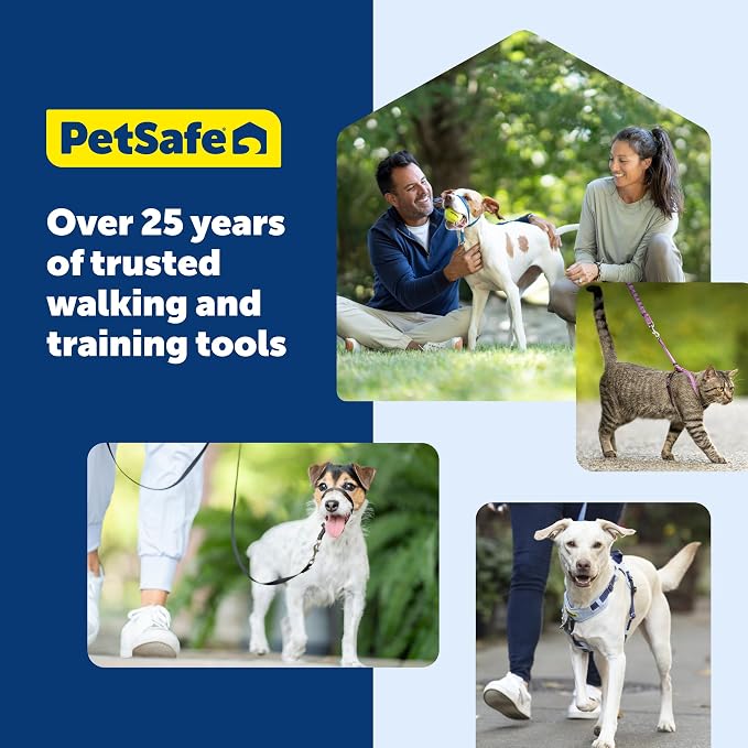 PetSafe Easy Walk Harness, No Pull Dog Harness, Small, Teal | Patented Martingale Loop Gives Gradual Shoulder Pressure to Stop Pulling, Front-Chest Leash Clip Prevents Gagging