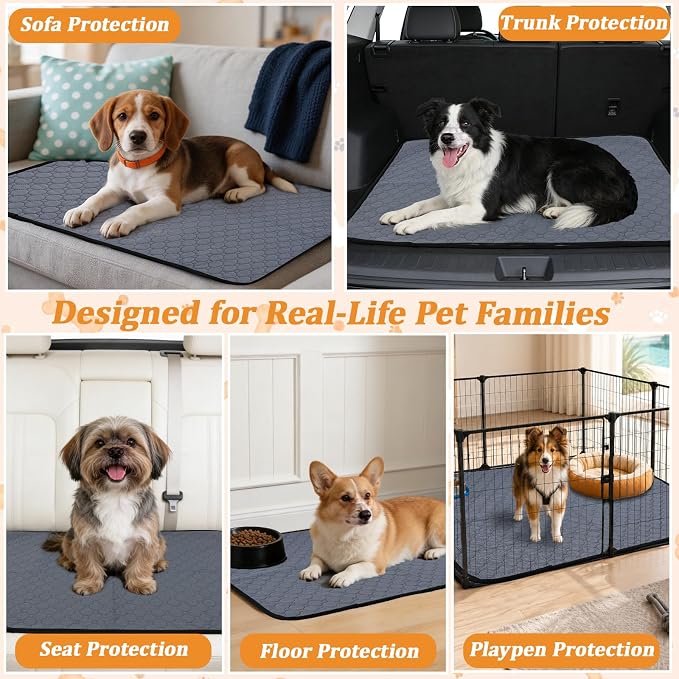 Washable & Reusable Pee Pads for Dogs, 2 Pack, 40 x 40 Inch | Super Absorbent, Waterproof TPU, Machine Washable & Reusable, Non-Slip Bottom, Floor Protection
