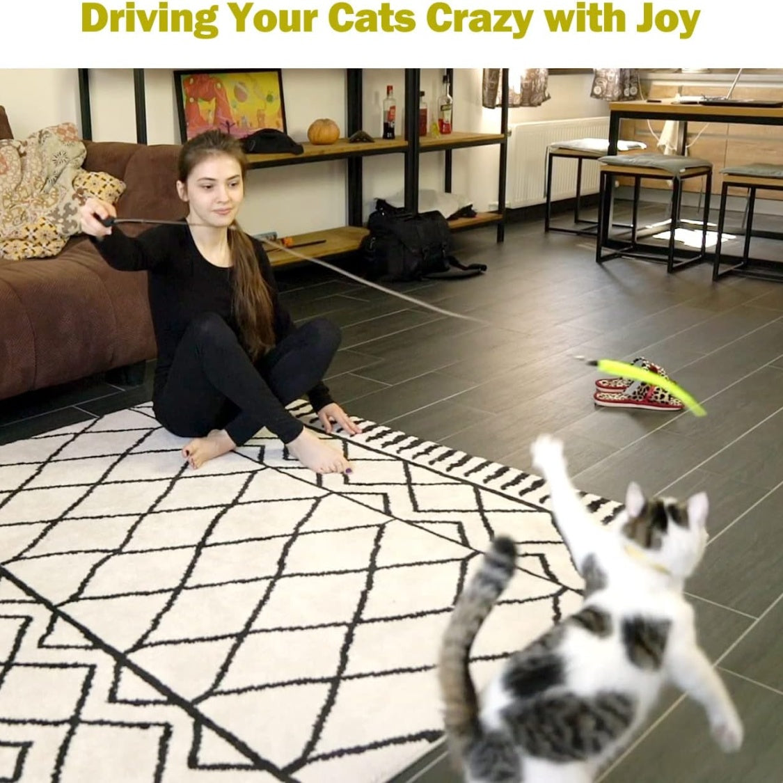 Cat Toys For Indoor Cats, Interactive Cat Toy 2PCS Retractable Wand Toy And 9PCS Cat Feather Toys Refills, Funny Kitten Toys Cat Fishing Pole Toy For