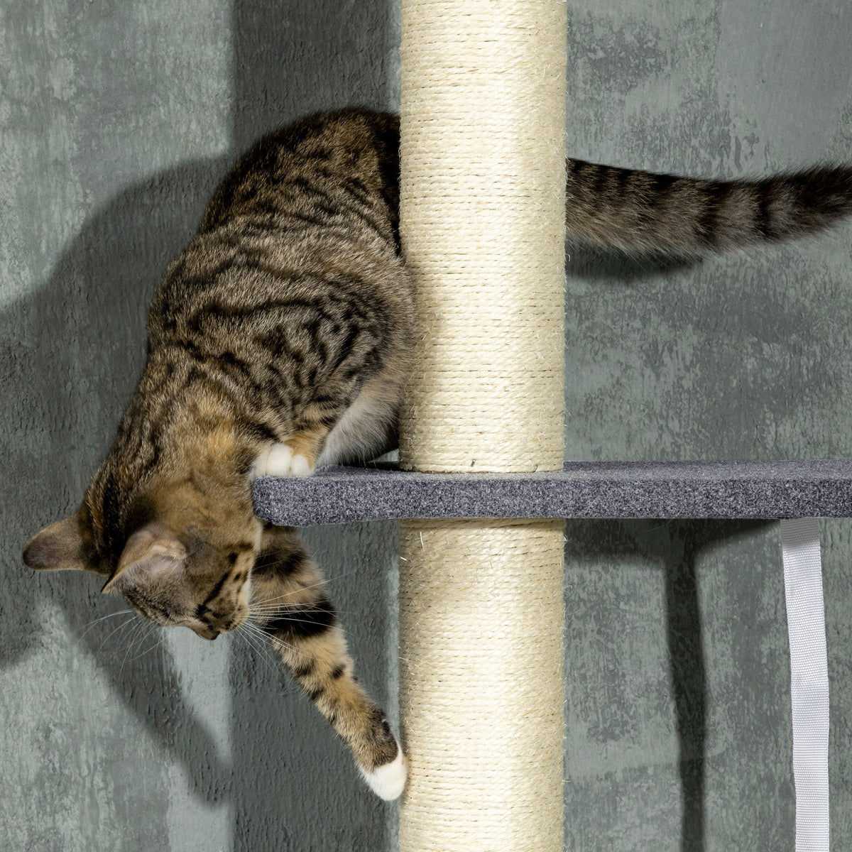 Floor To Ceiling Cat Tree, 5-Tier Cat Climbing Tower, 95-106 Height Adjustable with Carpeted Platforms, Cozy Bed, Hammock, Scratching Post & Toy Ball for Indoor Cats, Dark Gray and Cream