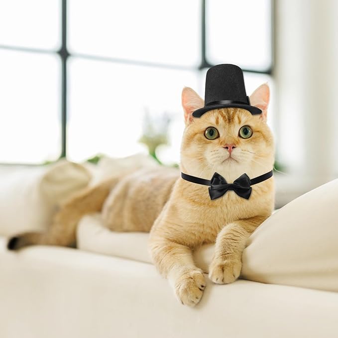 Pet Formal Accessories Set 2 Pcs Dog Costume Top Hat with Formal Pet Tuxedo Bowtie/Necktie Birthday Party Halloween Gradation Christmas Dog Cat Costumes Accessories Black One Size
