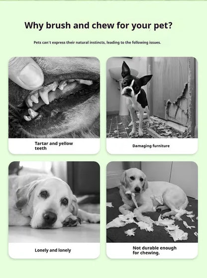 DOG Chew Toys For Teeth Cleaning,Pet Sausage Chew Brush,Pet Chew & Clean Buddy