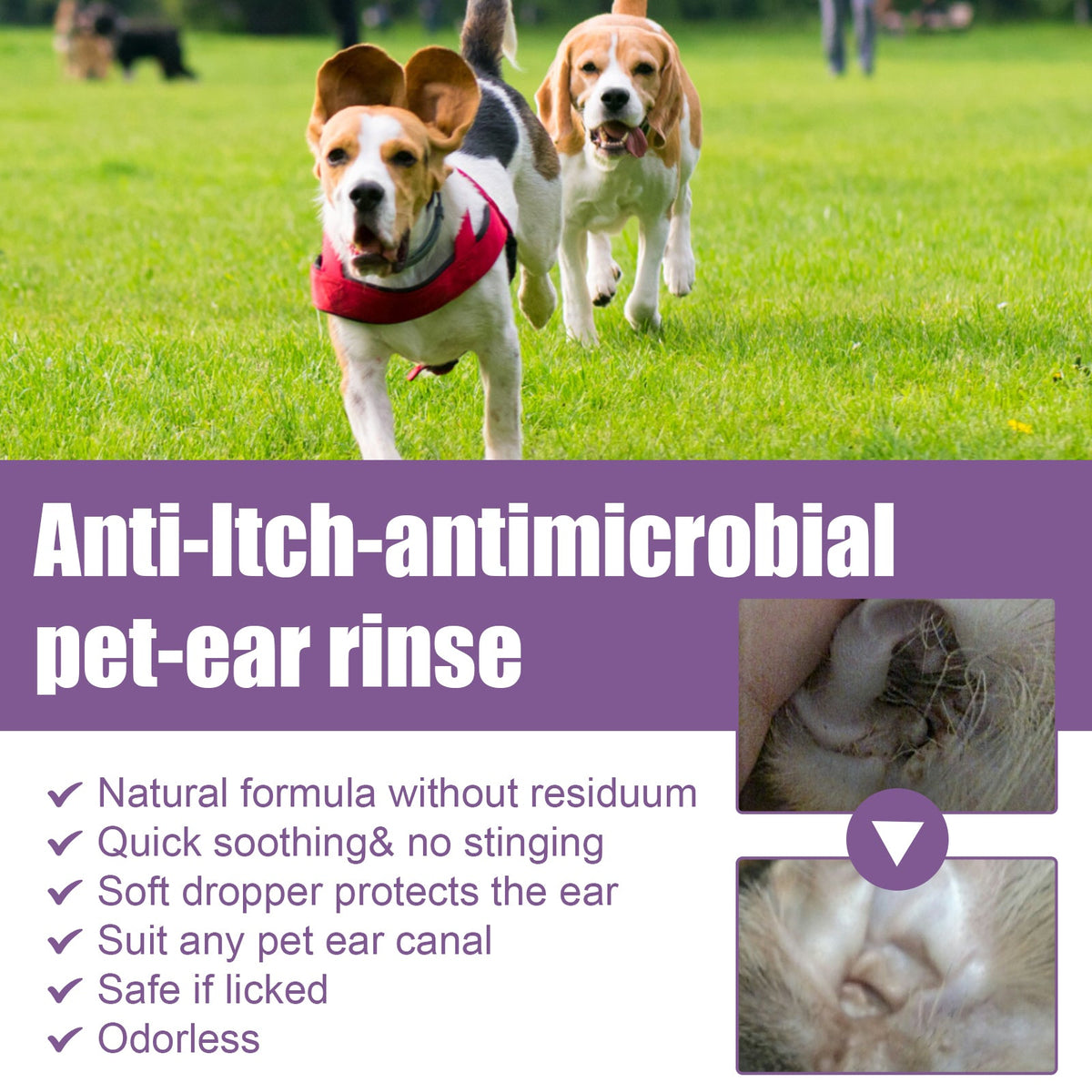 118ml Pet Ear Rinse Cleaner With Glycerin & Disodium EDTA, Anti-Itch Antimicrobial Ear Wash For Dogs Cats, Alcohol-Free Gentle Ear Cleanser With Cotton Swabs