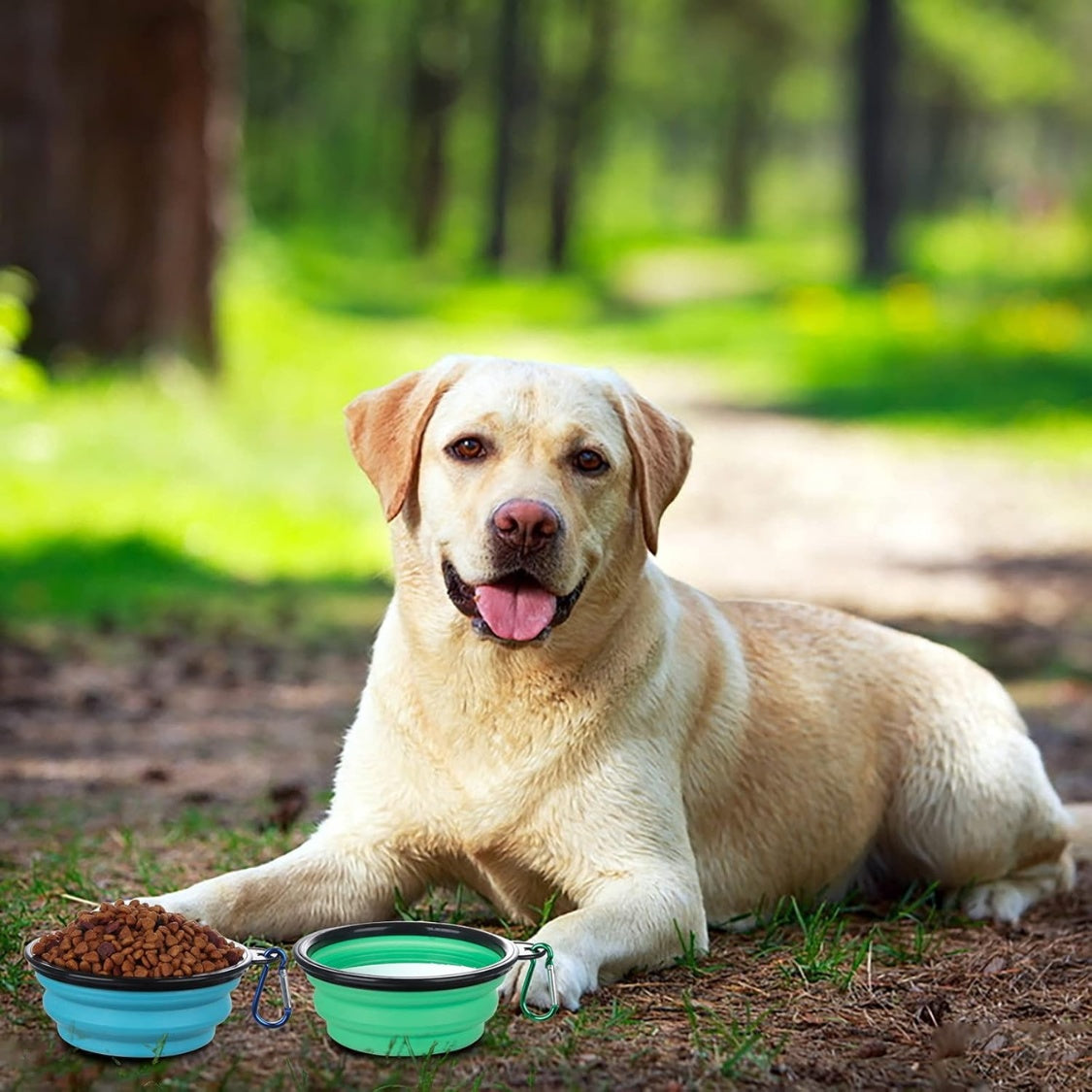 Collapsible Bowl With Cover Lids,2 Pack Dog Travel Bowls Portable Foldable Cat Water Dish Bowl For Pets Walking Parking Camping