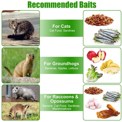 Humane Cat Trap Cage With Gloves Catch Release Live Animal Rodent Cage Collapsible Galvanized Wire For Raccoons Beavers Groundhogs Foxes Armadillos