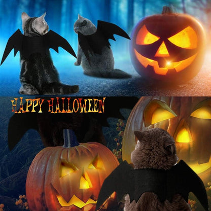 Pet Cat Bat Wings For Halloween Party Decoration, Puppy Collar Leads Cosplay Bat Costume,Cute Puppy Cat Dress Up Accessories
