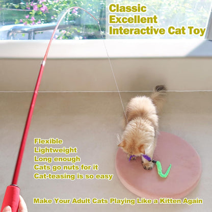 Cat Toys For Indoor Cats, Interactive Cat Toy 2PCS Retractable Wand Toy And 9PCS Cat Feather Toys Refills, Funny Kitten Toys Cat Fishing Pole Toy For
