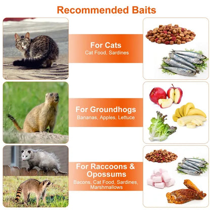 Humane Cat Trap Cage Catch Release Live Animal Rodent Cage Collapsible Galvanized Wire For Raccoons Beavers Groundhogs Foxes Armadillos