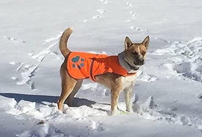 SafetyPUP XD Reflective Dog Vest. Hi-Visibility, Fluorescent Blaze Orange Dog Vest Helps Protect Your Best Friend. Safeguard Your PUP from Motorists & Hunting Accidents, On or Off Leash (Medium)