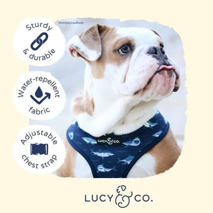 Lucy & Co. Reversible Dog Harness - Water-Repellent Neoprene, Dual-Print Design, Easy Swap Style, Adjustable Comfort Fit - Shark Attack Reversible Harness - Small