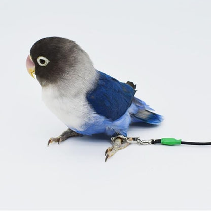 Bird Foot Chain with Flying Latex Elastic Training Rope Outdoor Parrot Ankle Foot Ring Accessories Bird Harness Leash Prevent Escaping (Model4-With 78.7inch Leash)
