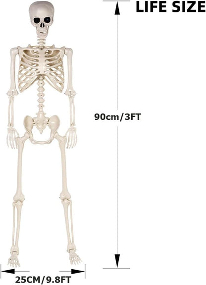 2 Pack 36" Halloween Skeleton - 3 ft Life Size Human Skeleton with Full Body Posable Joints - Spooky Scary Plastic Skeletons for Outdoor Decoration, Halloween Party Decor, Haunted House Props