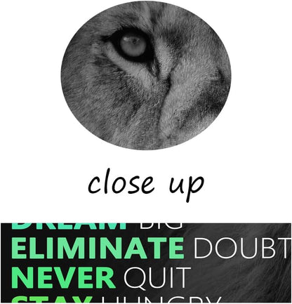 Motivational Lion Canvas Wall Art for Office Colorful Poster Painting Artwork Inspirational Picture Print Wall Decor for Home Living Room Bedroom Workplace Wooden Framed Ready to Hang [24''Wx 36''H]