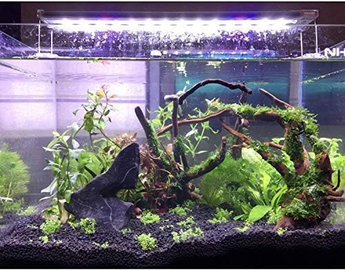 PINVNBY Large Driftwood for Aquarium Fish Tank Decorations Natural Assorted Branches Bearded Dragon Tank Accessories Terrarium Decor for Aquarium Decor (11-18 inches/1 Pack)