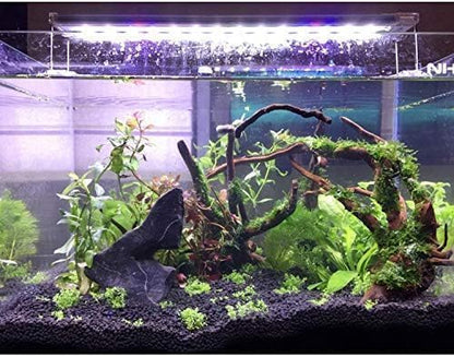 PINVNBY Large Driftwood for Aquarium Fish Tank Decorations Natural Assorted Branches Bearded Dragon Tank Accessories Terrarium Decor for Aquarium Decor (11-18 inches/1 Pack)
