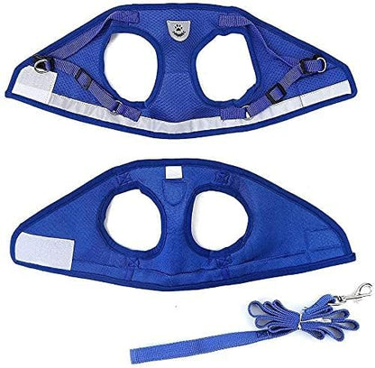 FEimaX Dog Harness and Leash Set for Walking, Soft Mesh Adjustable Easy Control Lightweight Cat Vest Harnesses with Reflective Strips, Escape Proof Small Dogs Cats Vests (Blue, Small)