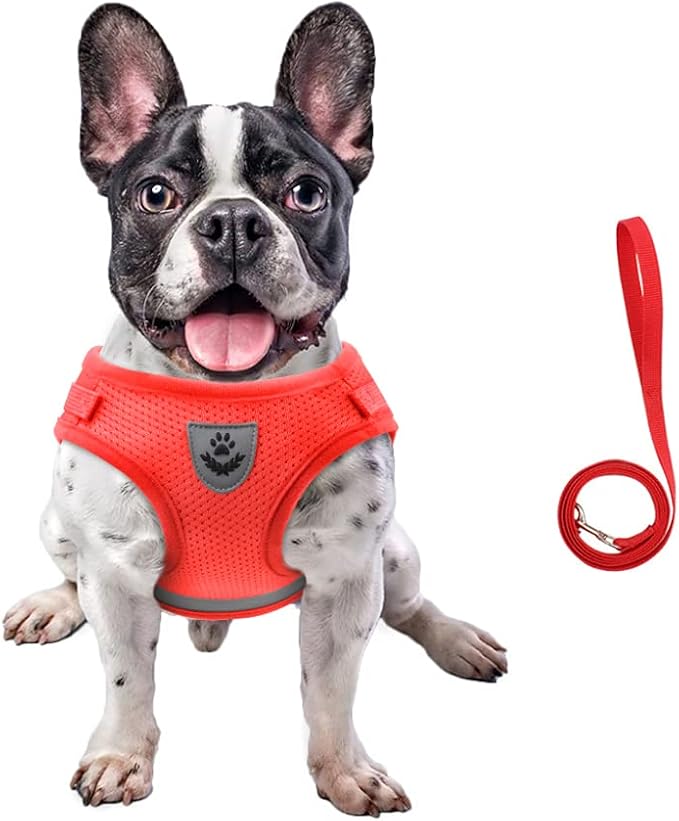 FEimaX Dog Harness and Leash Set for Walking, Soft Mesh Adjustable Easy Control Lightweight Cat Vest Harnesses with Reflective Strips, Escape Proof Small Dogs Cats Vests (Red, Large)