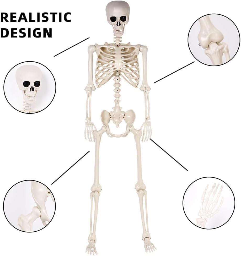 36" Halloween Skeleton - 3 ft Life Size Human Skeleton with Full Body Posable Joints - Spooky Scary Plastic Skeletons for Outdoor Decoration, Halloween Party Decor, Haunted House Props