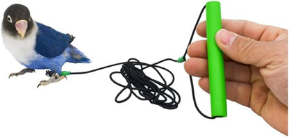 Bird Foot Chain with Flying Latex Elastic Training Rope Outdoor Parrot Ankle Foot Ring Accessories Bird Harness Leash Prevent Escaping (Model7-With 78.7inch Leash)