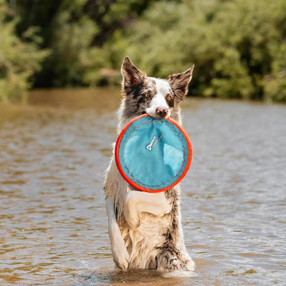 Paraflight Flying Disc Dog Toy  Water Floating Flyer Durable Nylon Construction With Soft Rubber Edges For Medium And Large Dogs