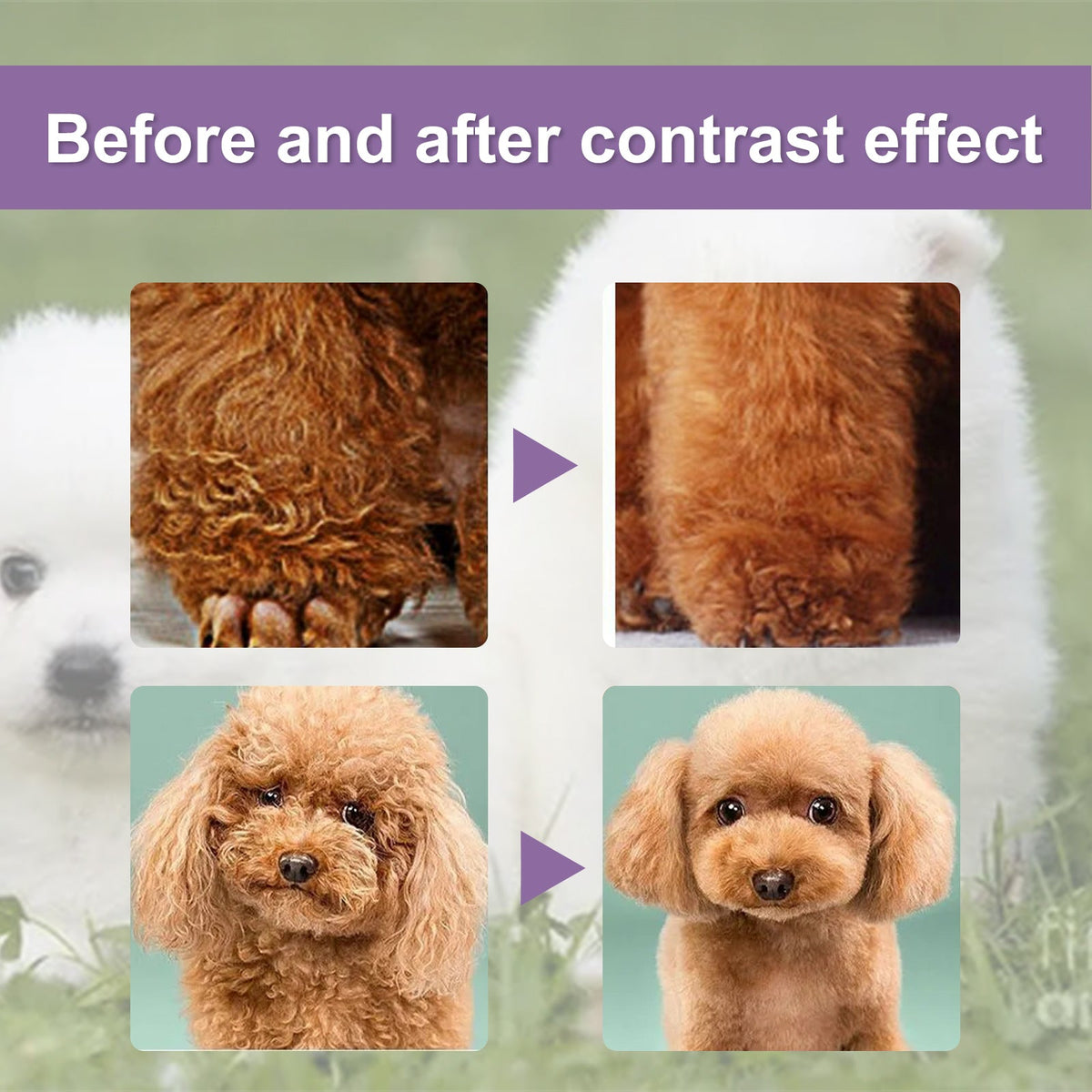 Pet Hair Conditioner For Dogs Cats, Moisturizing Detangling Pet Coat Conditioner, Anti Static, Softens & Brightens Fur, Long Lasting Fragrance, 50ml