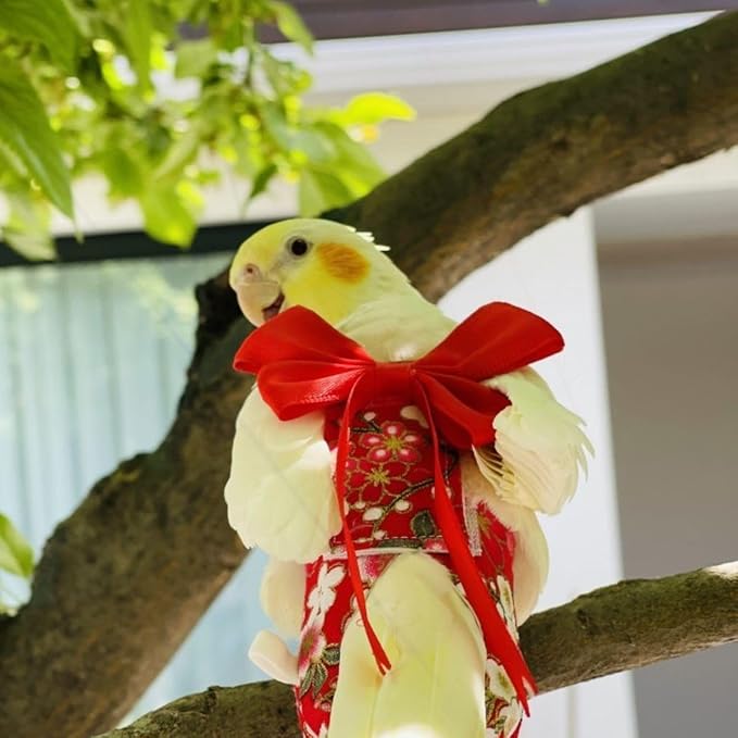 Bird Diaper Parrot Washable Diapers, Parrot Flight Suit, Reusable Nappies for Parakeet Cockatiel Mini Macaw Budgie Conure Lovebird (Beige,Macaw)