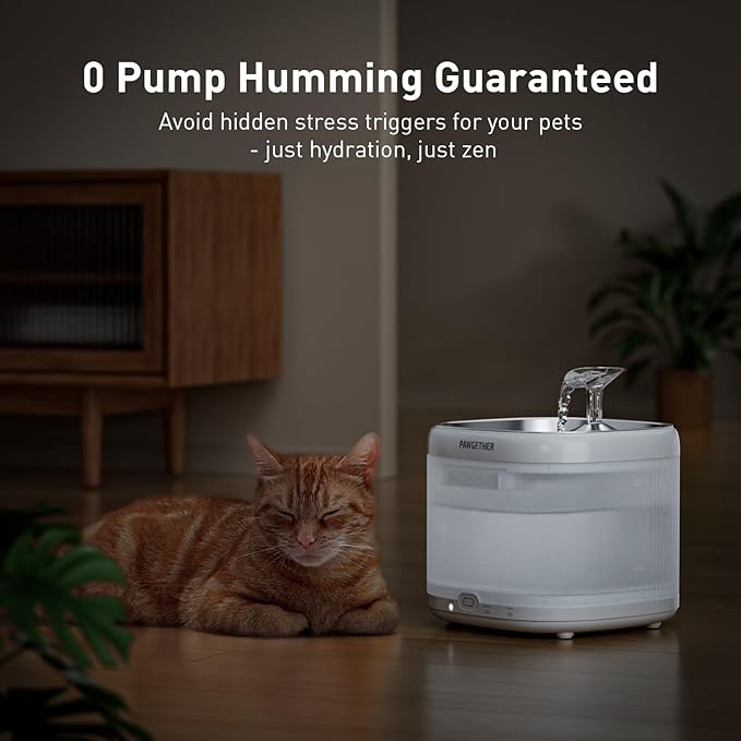PAWGETHER® Cat Water Fountain, Ultra Quiet Pumpless Pet Water Fountain with Stainless Steel Tray, 67oz/2L Water Fountains for Cats Indoor with 360° Motion Sensor for Cats & Dogs (with Filter)