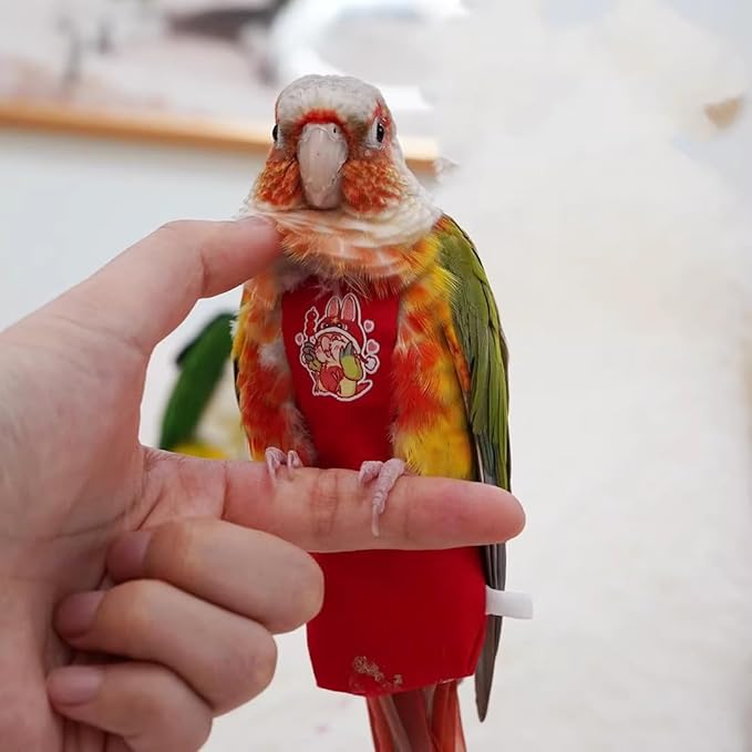 MANON ROSA Bird Diapers Leash Set Washable Reusable Handmade Flight Suit Waterproof Inner Layer - Protective Parrot Nappy Clothes Parakeets Macaws Budgies Canaries (Red1,Myna)