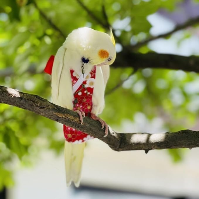 Bird Diaper Parrot Washable Diapers, Parrot Flight Suit, Reusable Nappies for Parakeet Cockatiel Mini Macaw Budgie Conure Lovebird (Beige,2M)