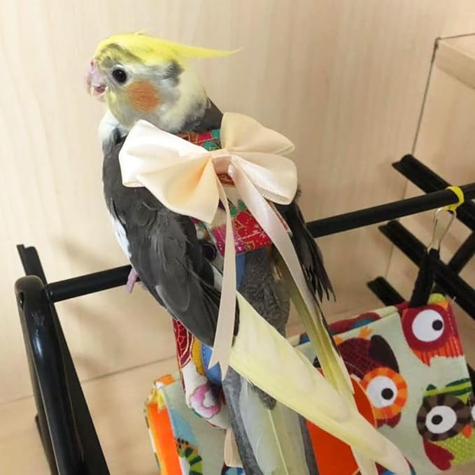 Bird Flight Suits Diapers, Parrot Flight Suits Diapers for Quaker Parakeets Cockatiels Flight Suits, Parrot Clothes (Red,L)