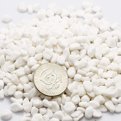 TOYPOPOR Mini White Rocks Stone Decorative Pebbles Vase Fillers Succulents Cactus Bonsai DIY Plant Rock Garden Outdoor Indoor Gravel for Aquarium, Terrarium, Fairy Gardening, Top Dressing 6lbs