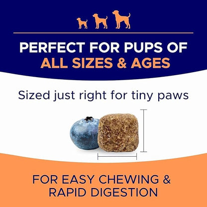 Dog Allergy Relief Chews — Anti-Itch Skin & Coat Supplement: No Fillers, Just Flavor - Itchy Skin Relief Treatment w/Omega 3 Fish Oil - Itching&Paw Licking - 360Ct (BBQ Chicken)