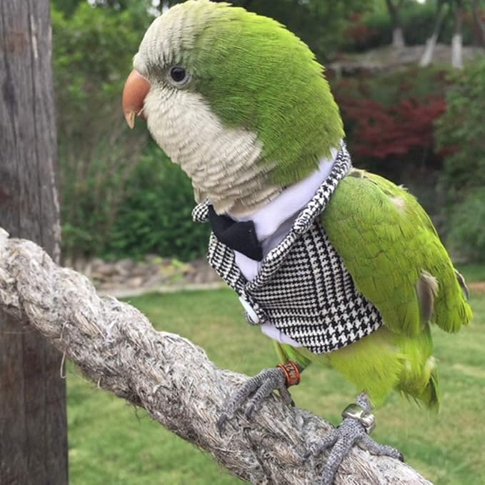 Bird Clothes Birds Flight Suit,Tuxedo Business Suit for Parrots African Greys Parakeet Cockatiel Sun Conure Christmas Party Birthday Cosplay Photo Prop Small Animals Apparel (5XL,Grid Suit)