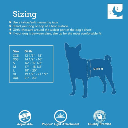 RC Pets Step in Cirque Harness L Daisies