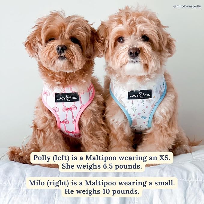Lucy & Co. Reversible Dog Harness - Water-Repellent Neoprene, Dual-Print Design, Easy Swap Style, Adjustable Comfort Fit - Take a Bow Reversible Harness - X-Large