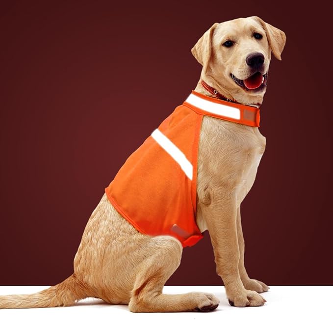 Dog Jacket High Visibility Safety Reflective Dog Vest for Small Medium Large Dogs (X-Large, Orange)