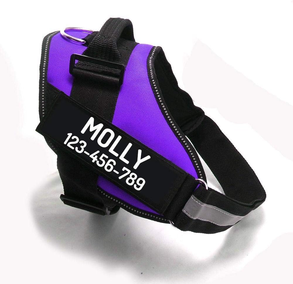 PawPawify Custom No Pull Dog Harness with Name and Phone Number, Heavy Duty Personalized Pet Vest to Prevent Tugging, Pulling, or Choking, Training and Walking (Purple, L (40-60 LBS))