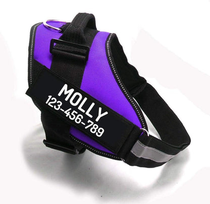 PawPawify Custom No Pull Dog Harness with Name and Phone Number, Heavy Duty Personalized Pet Vest to Prevent Tugging, Pulling, or Choking, Training and Walking (Purple, L (40-60 LBS))
