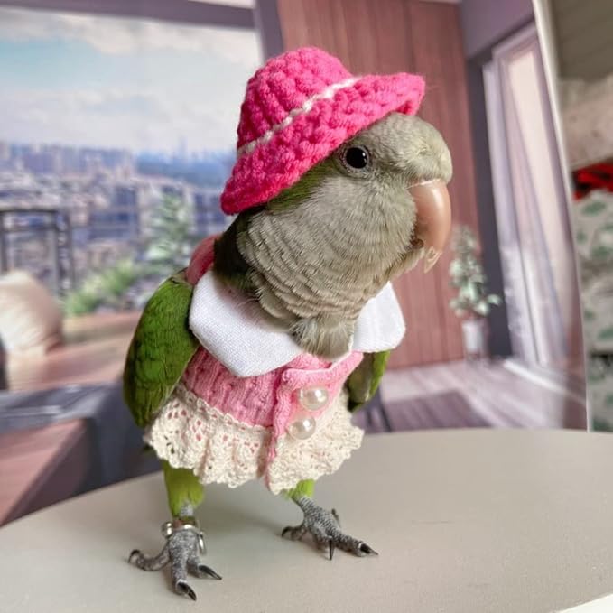 Bird Diaper Flight Suit - Pink Top Bird Clothes Cosplay Photo Prop for Parrots, Lovebirds, Parakeets, Cockatiels & Small Animals (Senegal)