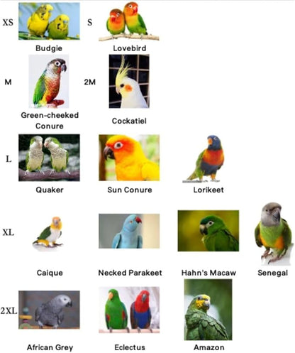 Bird Diaper Parrot Washable Diapers, Parrot Flight Suit, Reusable Nappies for Parakeet Cockatiel Mini Macaw Budgie Conure Lovebird (Beige,2M)