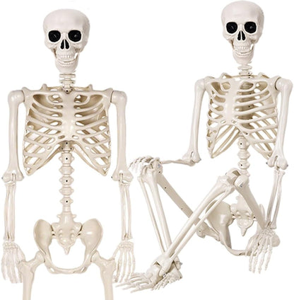 2 Pack 36" Halloween Skeleton - 3 ft Life Size Human Skeleton with Full Body Posable Joints - Spooky Scary Plastic Skeletons for Outdoor Decoration, Halloween Party Decor, Haunted House Props