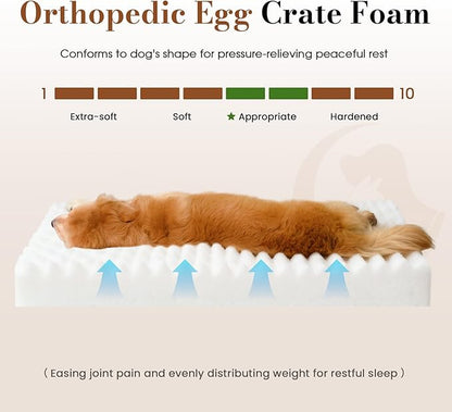 Dog Beds for Extra Large Sized Dog, Orthopedic Pet Bed with Waterproof Lining, Soft Short Plush Surface & Egg Crate Foam, Machine Washable Pet Mat with Removable Cover & Anti Slip Bottom