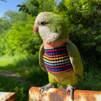 Bird Clothes - Handmade Cotton Stripe Shirt Round Collar Sweater Flight Suit for Parrots African Greys Parakeet Cockatiel Sun Conure Christmas Halloween (Without Diaper,L)