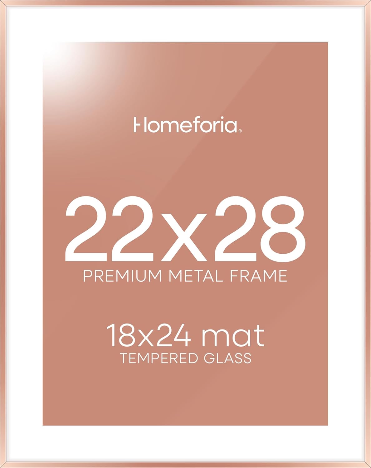Homeforia 22x28 Rose Gold Picture Frame, High End Metal 22x28 Poster Frames with Mat 18x24 inch Photo, 22 x 28 Thin Frame Matted to 18 x 24 Print, 28x22 Large Frame, Tempered Glass, Wall Kit, Set of 1