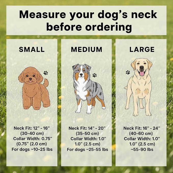 Dog Leash and Collar Set – 6 FT Strong Rope Leash with Padded Handle & Adjustable Nylon Collar Reflective for Small Medium Large Dogs (Blue, S)