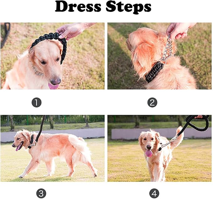 Love Dream Dog Collar and Leash Set, Heavy Duty Nylon Braided Rope Strong 4 FT Dog Leash and Martingale Training Collar for Small Medium Large Dogs Training and Walking (Blue & Purple)